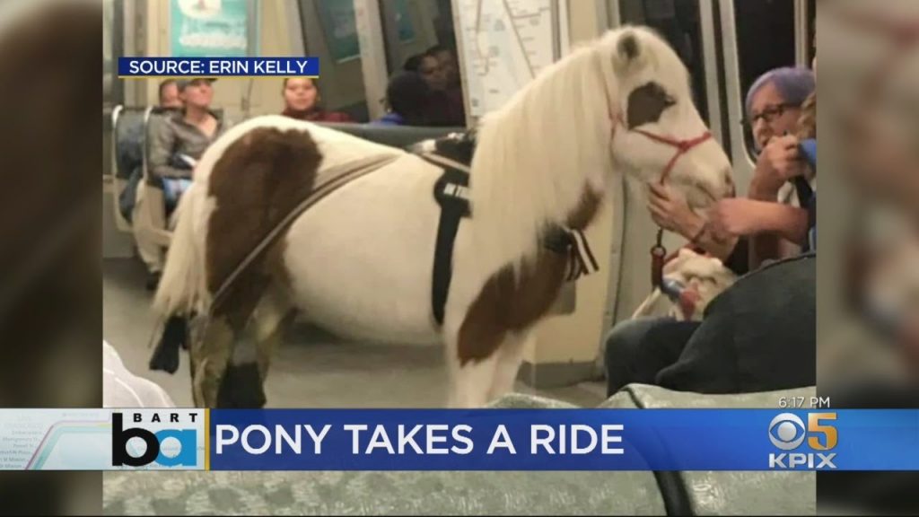 maxresdefault-1024x576